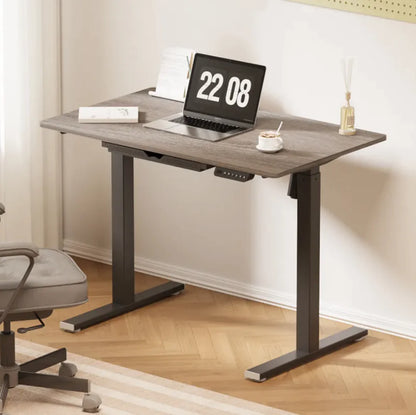 Smart Electric Standing Desk