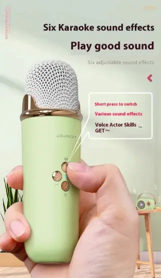 Portable Bluetooth Audio With Wireless Microphone