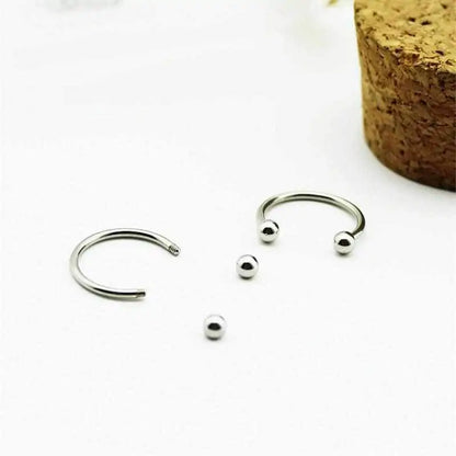 Stainless Earring Pair