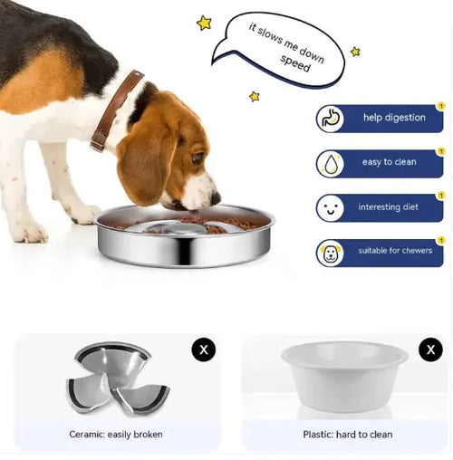 Pet Slow Feeding Bowl