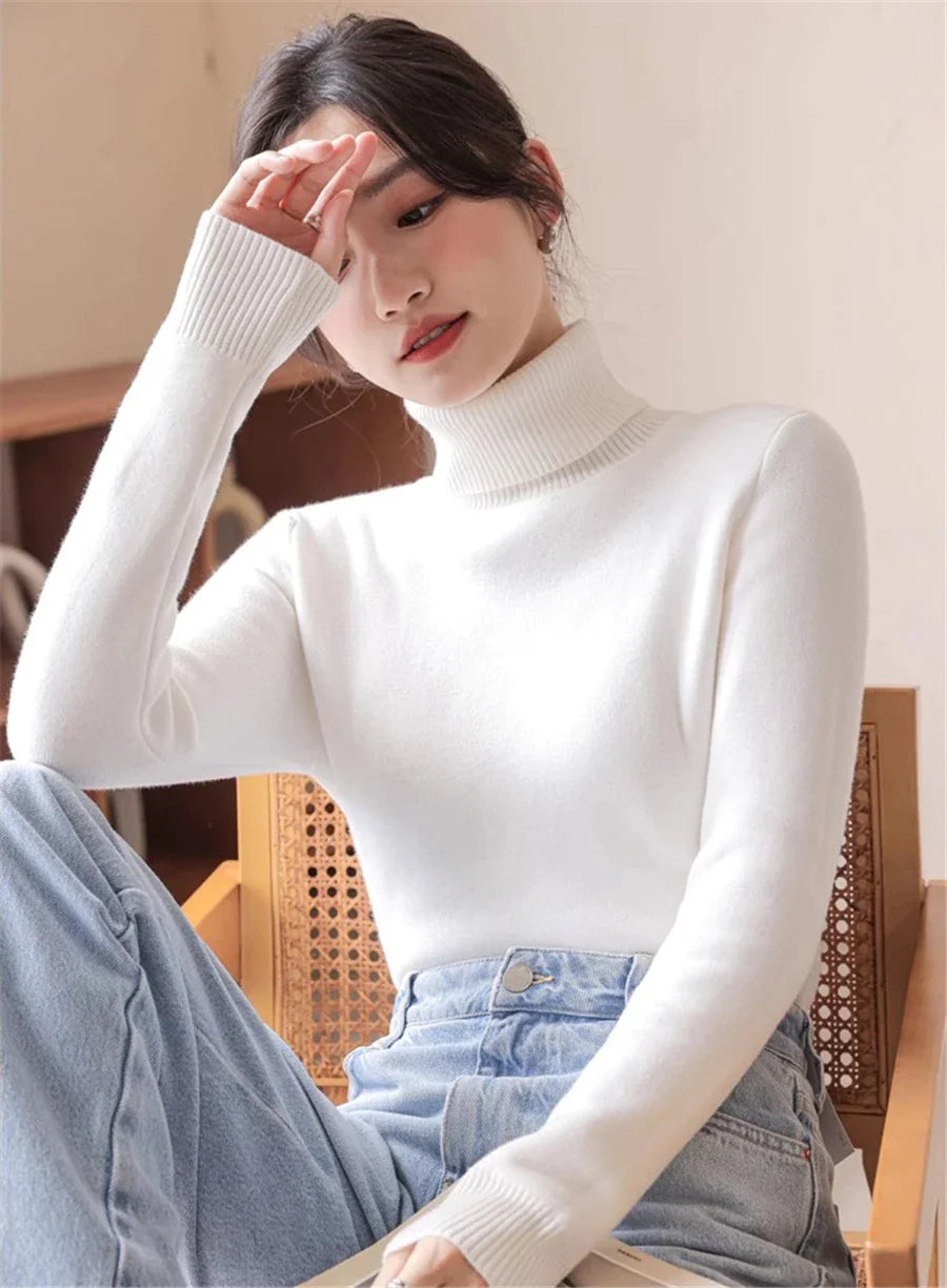 Thick Elastic Turtleneck for Women